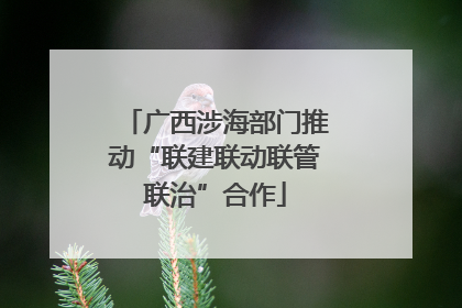 广西涉海部门推动“联建联动联管联治”合作