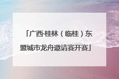 广西·桂林（临桂）东盟城市龙舟邀请赛开赛