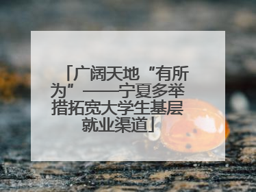 广阔天地“有所为”——宁夏多举措拓宽大学生基层就业渠道