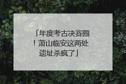 年度考古决赛圈！萧山临安这两处遗址杀疯了