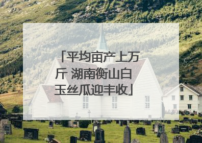 平均亩产上万斤 湖南衡山白玉丝瓜迎丰收
