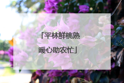 平林鲜桃熟 暖心助农忙