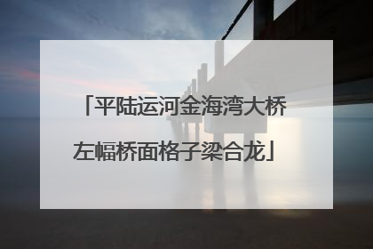 平陆运河金海湾大桥左幅桥面格子梁合龙
