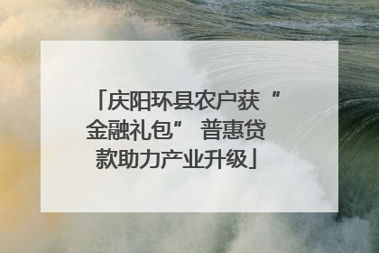 庆阳环县农户获“金融礼包” 普惠贷款助力产业升级
