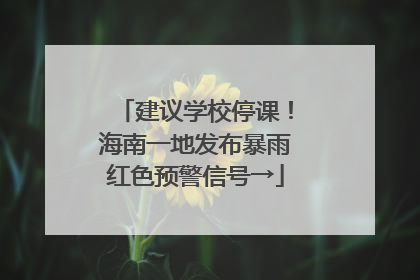 建议学校停课！海南一地发布暴雨红色预警信号→