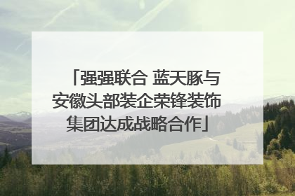 强强联合 蓝天豚与安徽头部装企荣锋装饰集团达成战略合作
