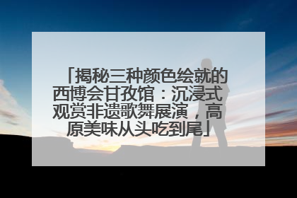 揭秘三种颜色绘就的西博会甘孜馆：沉浸式观赏非遗歌舞展演，高原美味从头吃到尾