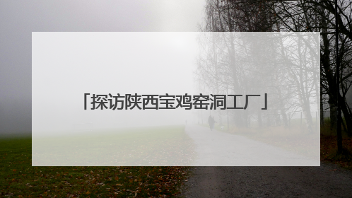 探访陕西宝鸡窑洞工厂