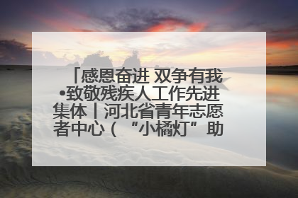 感恩奋进 双争有我•致敬残疾人工作先进集体丨河北省青年志愿者中心（“小橘灯”助残接力计划实施团队）：用温暖陪伴，守护特殊孩子成长