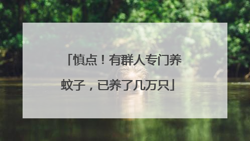 慎点！有群人专门养蚊子，已养了几万只