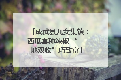 成武县九女集镇：西瓜套种辣椒 “一地双收”巧致富