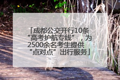 成都公交开行10条“高考护航专线”，为2500余名考生提供“点对点”出行服务