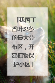 我国丁香叶忍冬的最大分布区，开建植物保护小区