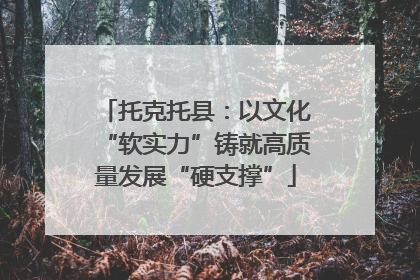 托克托县：以文化“软实力”铸就高质量发展“硬支撑”