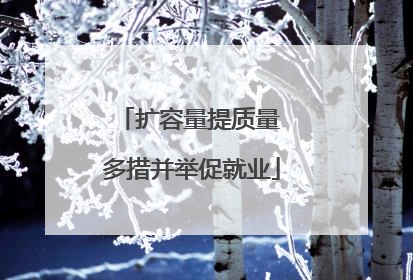 扩容量提质量 多措并举促就业