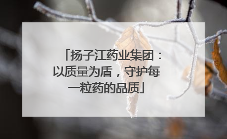 扬子江药业集团：以质量为盾，守护每一粒药的品质