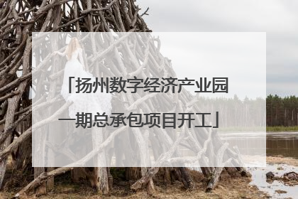 扬州数字经济产业园一期总承包项目开工