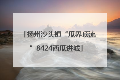 扬州沙头镇“瓜界顶流”8424西瓜进城