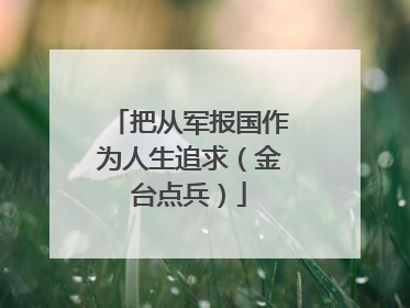 把从军报国作为人生追求（金台点兵）