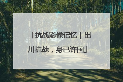 抗战影像记忆｜出川抗战，身已许国
