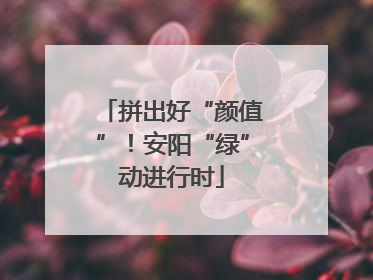 拼出好“颜值”！安阳“绿”动进行时