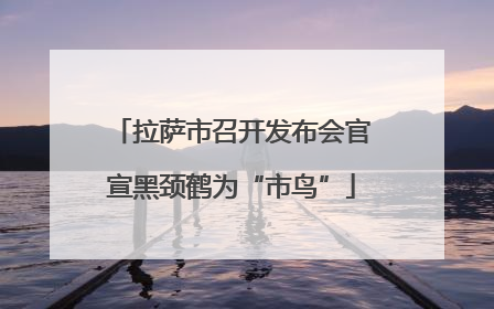 拉萨市召开发布会官宣黑颈鹤为“市鸟”