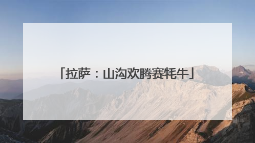 拉萨：山沟欢腾赛牦牛
