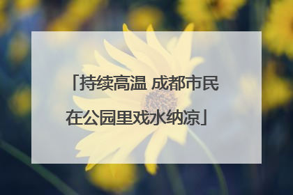 持续高温 成都市民在公园里戏水纳凉
