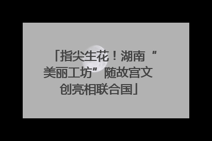 指尖生花！湖南“美丽工坊”随故宫文创亮相联合国