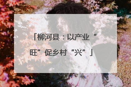 柳河县：以产业“旺”促乡村“兴”