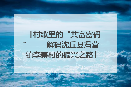 村歌里的“共富密码”——解码沈丘县冯营镇李寨村的振兴之路