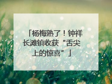 杨梅熟了！钟祥长滩镇收获“舌尖上的惊喜”