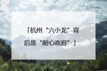 杭州“六小龙”背后是“耐心政府”