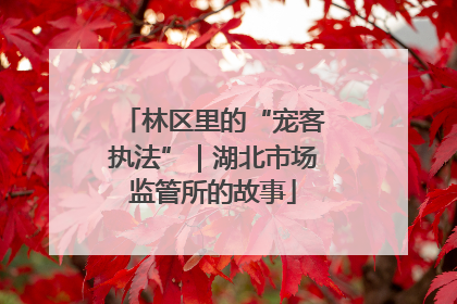 林区里的“宠客执法”｜湖北市场监管所的故事
