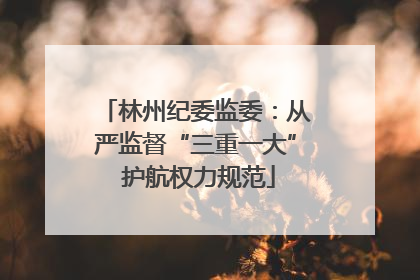 林州纪委监委：从严监督“三重一大” 护航权力规范