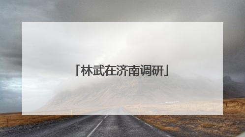 林武在济南调研