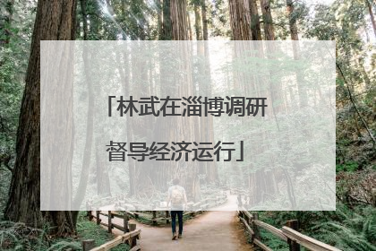 林武在淄博调研督导经济运行