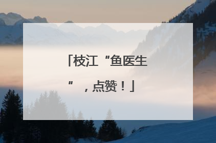 枝江“鱼医生”，点赞！
