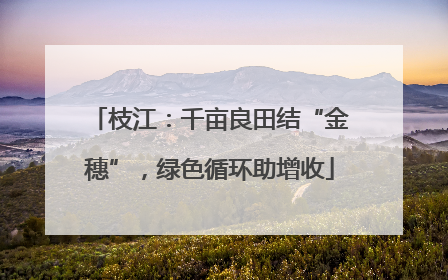 枝江：千亩良田结“金穗”，绿色循环助增收