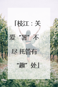 枝江：关爱“暑”不尽 托管有“趣”处