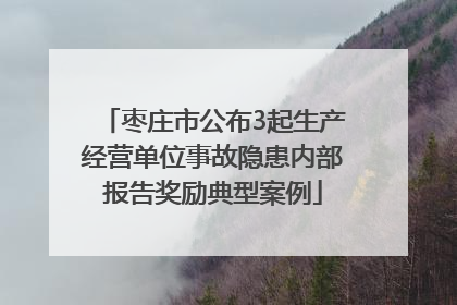 枣庄市公布3起生产经营单位事故隐患内部报告奖励典型案例