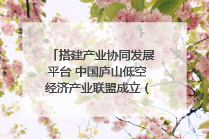 搭建产业协同发展平台 中国庐山低空经济产业联盟成立（组图｜视频）
