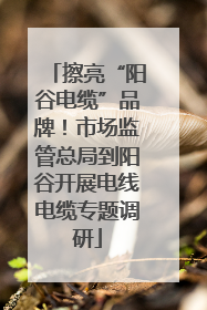 擦亮“阳谷电缆”品牌！市场监管总局到阳谷开展电线电缆专题调研