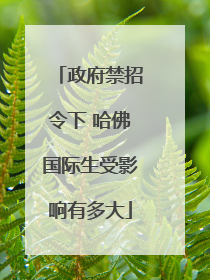 政府禁招令下 哈佛国际生受影响有多大
