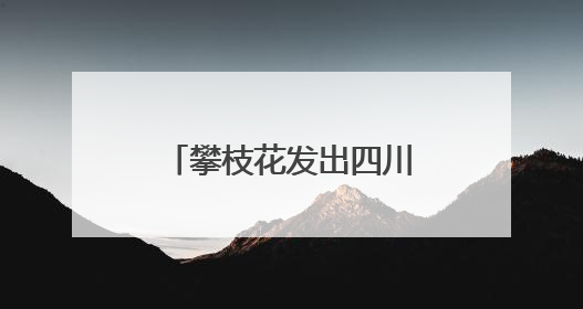 攀枝花发出四川首张“户籍人口直系亲属关系谱”