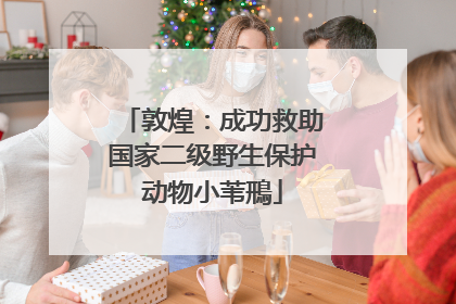 敦煌：成功救助国家二级野生保护动物小苇鳽