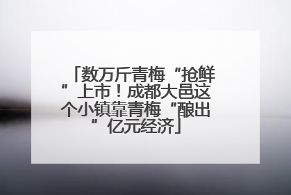数万斤青梅“抢鲜”上市！成都大邑这个小镇靠青梅“酿出”亿元经济