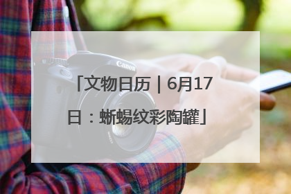 文物日历｜6月17日：蜥蜴纹彩陶罐