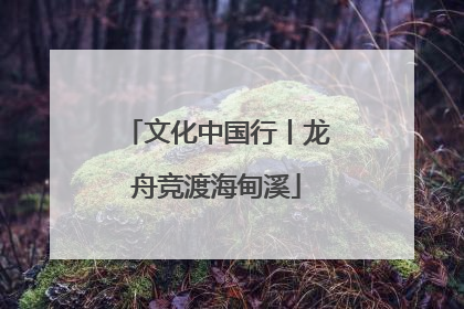 文化中国行丨龙舟竞渡海甸溪