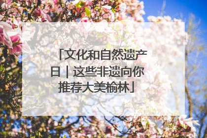 文化和自然遗产日｜这些非遗向你推荐大美榆林